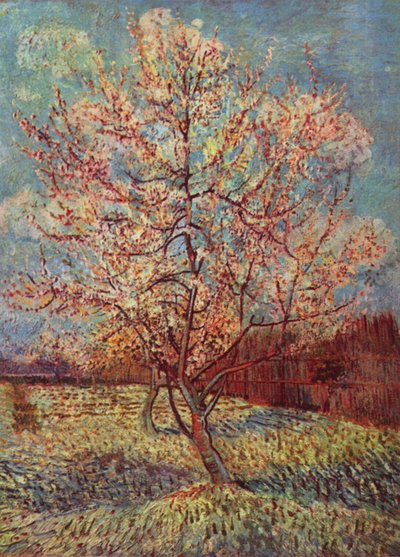 Perzikboom in bloei door Vincent van Gogh